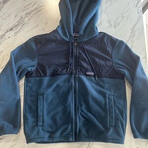 Patagonia Microdini Fleece Hoody